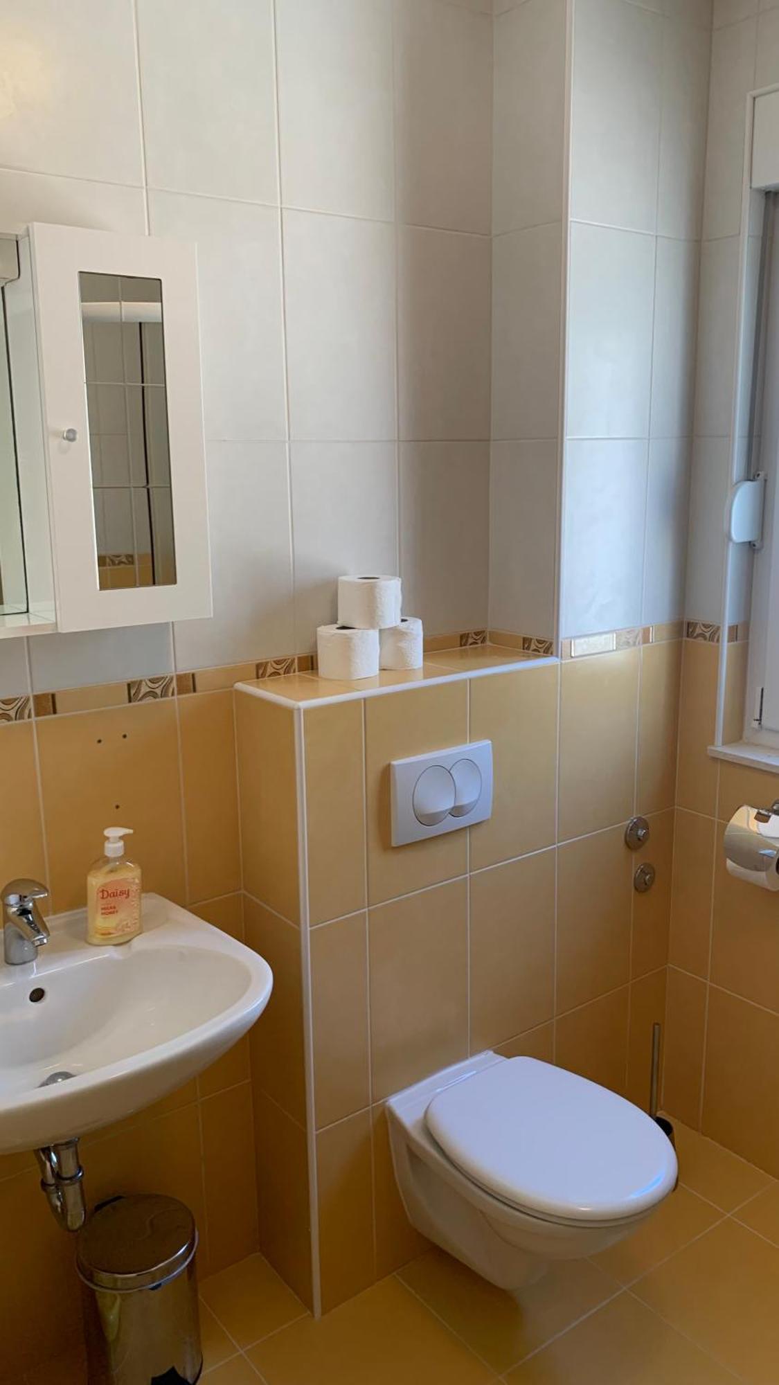 פודסטראנה Luxury Apartments Villa Lenka מראה חיצוני תמונה